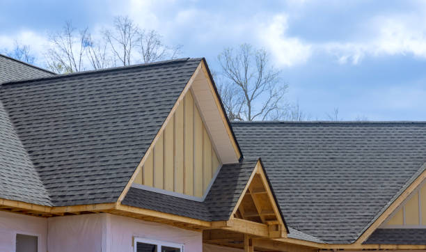Best Gutter Installation and Repair  in Oliver Springs, TN